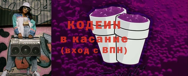 индика Лагань