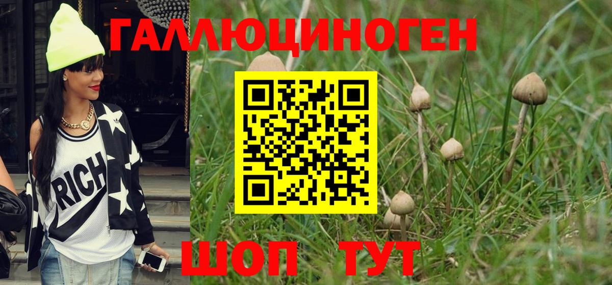 Псилоцибиновые грибы прущие грибы Троицк