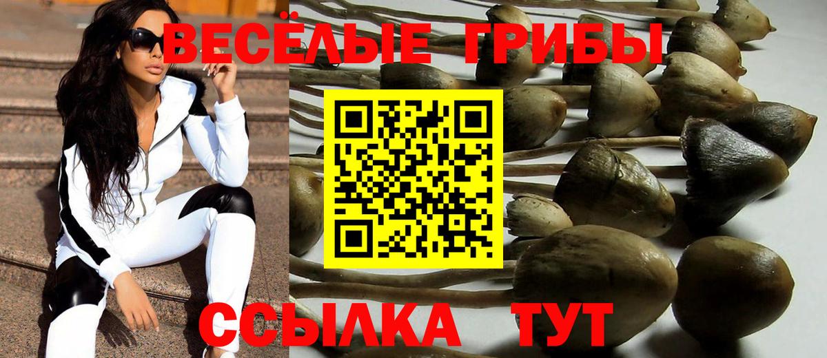 Троицк  Галлюциногенные грибы ЛСД  Галлюциногенные грибы MAGIC MUSHROOMS  Вход с VPN 